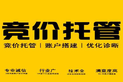 案例研究：竞价广告助力电商行业增长